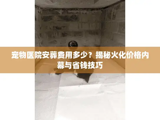 宠物医院安葬费用多少？揭秘火化价格内幕与省钱技巧