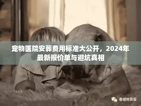 宠物医院安葬费用标准大公开，2024年最新报价单与避坑真相