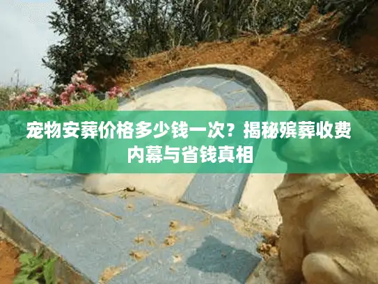 宠物安葬价格多少钱一次？揭秘殡葬收费内幕与省钱真相