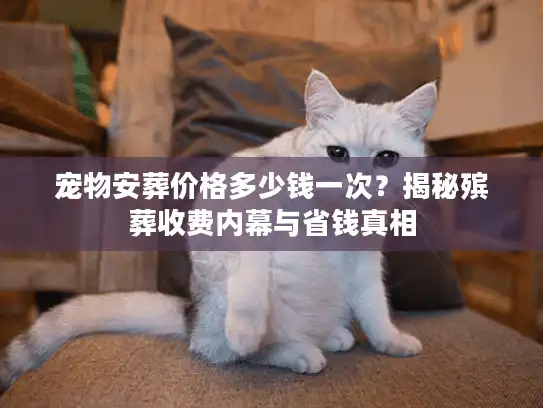 宠物安葬价格多少钱一次？揭秘殡葬收费内幕与省钱真相