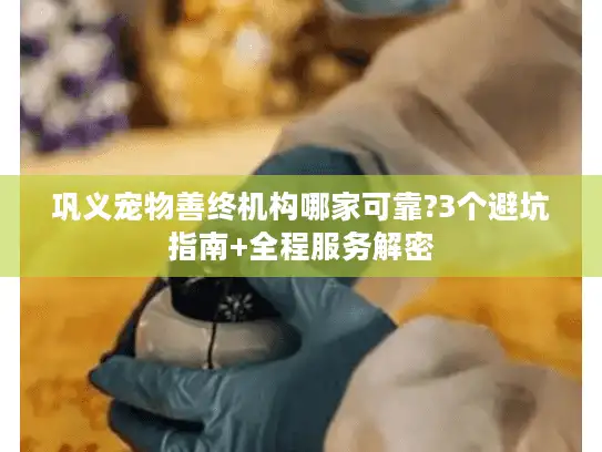 巩义宠物善终机构哪家可靠?3个避坑指南+全程服务解密