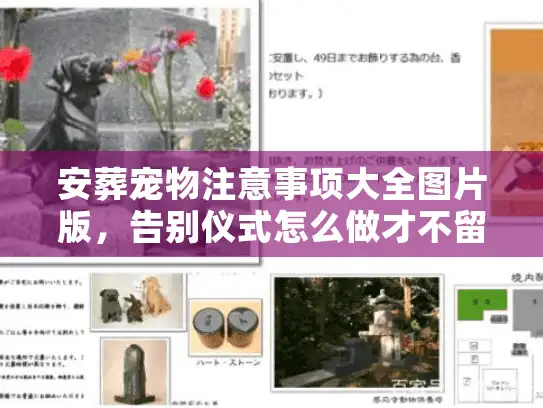安葬宠物注意事项大全图片版，告别仪式怎么做才不留遗憾？