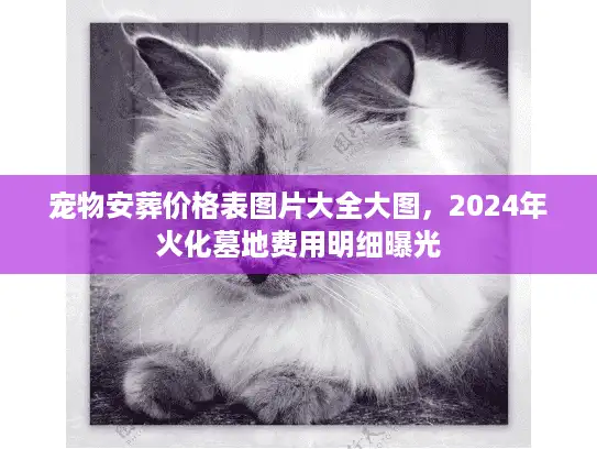 宠物安葬价格表图片大全大图，2024年火化墓地费用明细曝光