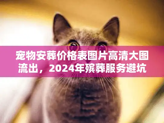 宠物安葬价格表图片高清大图流出，2024年殡葬服务避坑实录
