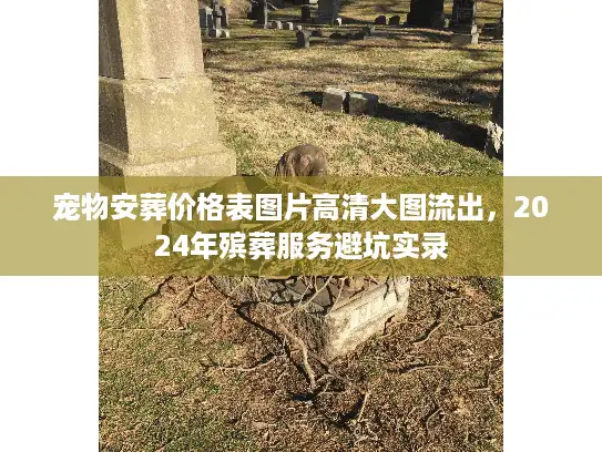 宠物安葬价格表图片高清大图流出，2024年殡葬服务避坑实录