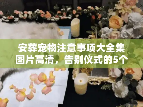 安葬宠物注意事项大全集图片高清，告别仪式的5个细节