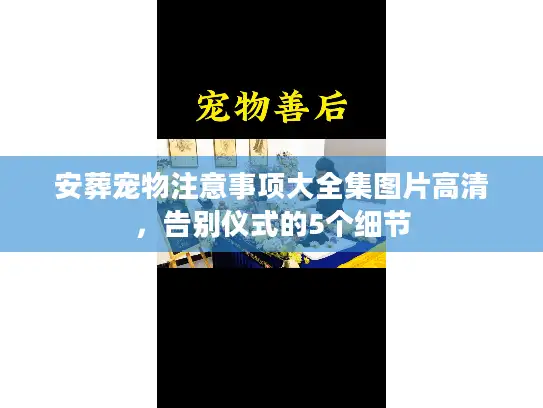 安葬宠物注意事项大全集图片高清，告别仪式的5个细节
