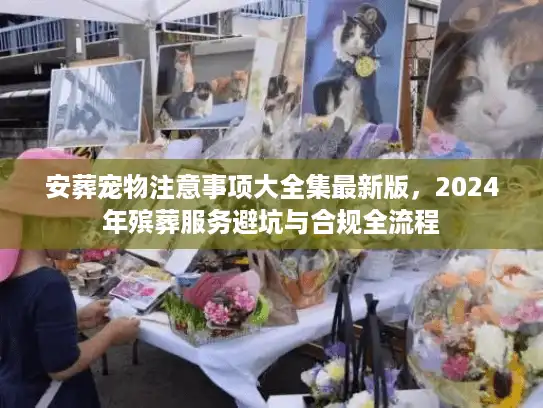 安葬宠物注意事项大全集最新版，2024年殡葬服务避坑与合规全流程