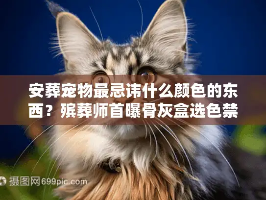 安葬宠物最忌讳什么颜色的东西？殡葬师首曝骨灰盒选色禁忌