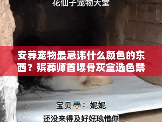 安葬宠物最忌讳什么颜色的东西？殡葬师首曝骨灰盒选色禁忌