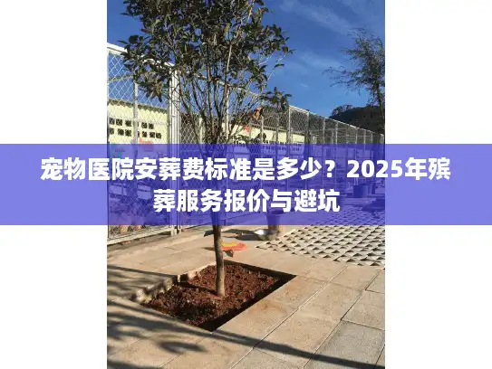 宠物医院安葬费标准是多少？2025年殡葬服务报价与避坑