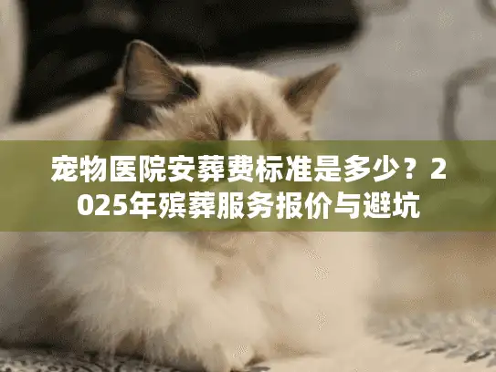 宠物医院安葬费标准是多少？2025年殡葬服务报价与避坑