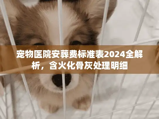 宠物医院安葬费标准表2024全解析，含火化骨灰处理明细