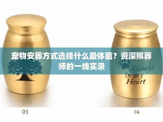 宠物安葬方式选择什么最体面？资深殡葬师的一线实录