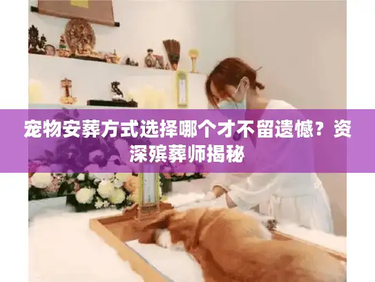 宠物安葬方式选择哪个才不留遗憾？资深殡葬师揭秘