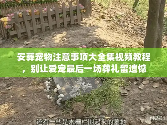 安葬宠物注意事项大全集视频教程，别让爱宠最后一场葬礼留遗憾