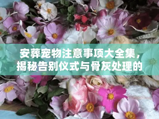 安葬宠物注意事项大全集，揭秘告别仪式与骨灰处理的避坑真相
