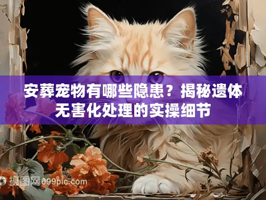 安葬宠物有哪些隐患？揭秘遗体无害化处理的实操细节