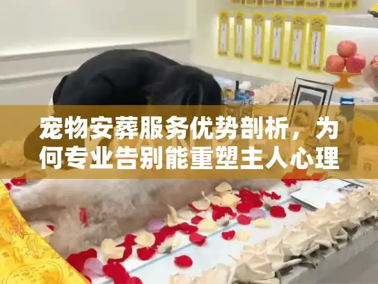 宠物安葬服务优势剖析，为何专业告别能重塑主人心理防线