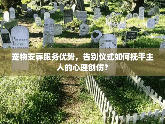 宠物安葬服务优势，告别仪式如何抚平主人的心理创伤？