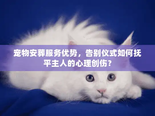 宠物安葬服务优势，告别仪式如何抚平主人的心理创伤？