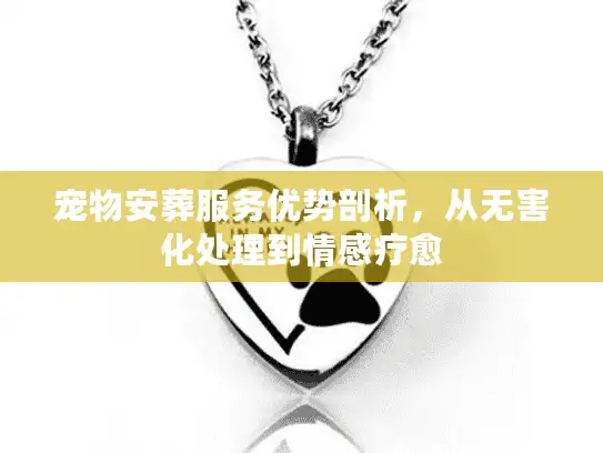 宠物安葬服务优势剖析，从无害化处理到情感疗愈