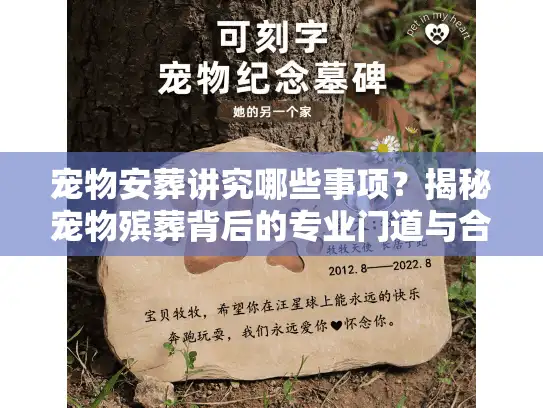 宠物安葬讲究哪些事项？揭秘宠物殡葬背后的专业门道与合规细节