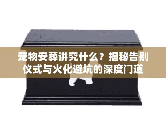 宠物安葬讲究什么？揭秘告别仪式与火化避坑的深度门道