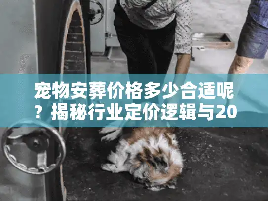 宠物安葬价格多少合适呢？揭秘行业定价逻辑与2025年真实行情