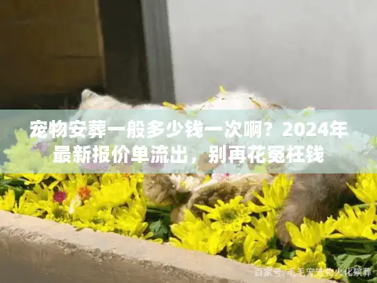 宠物安葬一般多少钱一次啊？2024年最新报价单流出，别再花冤枉钱