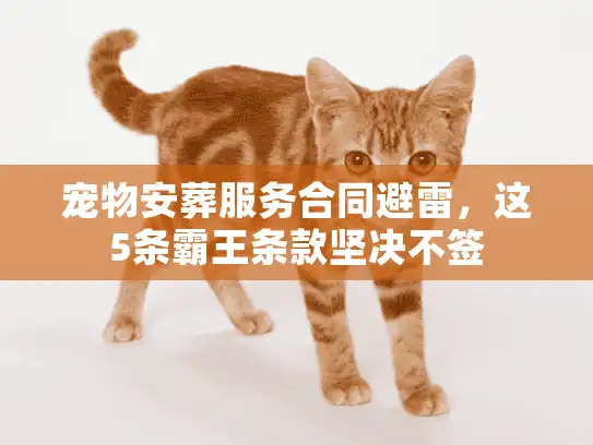 宠物安葬服务合同避雷，这5条霸王条款坚决不签