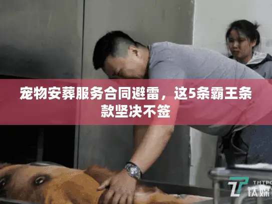 宠物安葬服务合同避雷，这5条霸王条款坚决不签