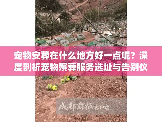 宠物安葬在什么地方好一点呢？深度剖析宠物殡葬服务选址与告别仪式