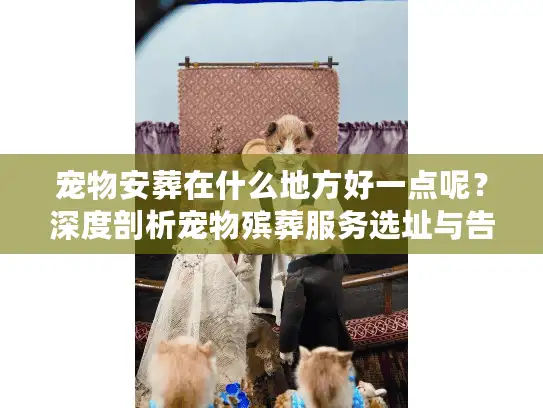 宠物安葬在什么地方好一点呢？深度剖析宠物殡葬服务选址与告别仪式