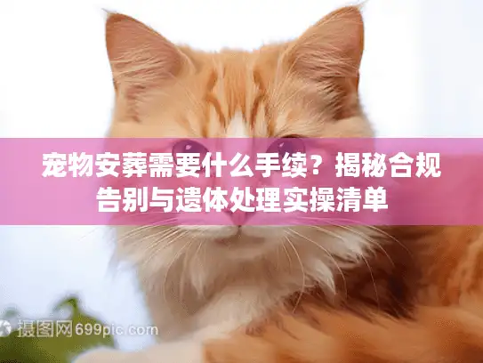 宠物安葬需要什么手续？揭秘合规告别与遗体处理实操清单