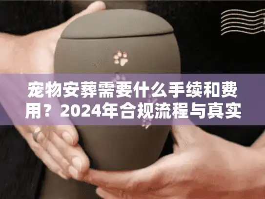 宠物安葬需要什么手续和费用？2024年合规流程与真实成本大揭秘