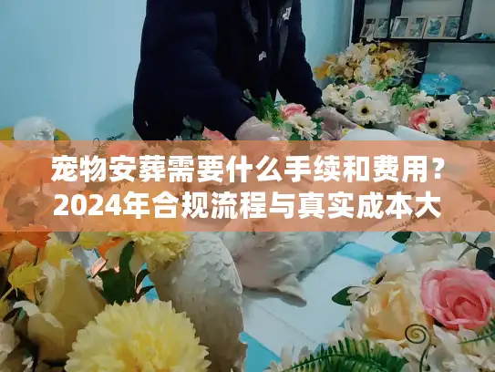 宠物安葬需要什么手续和费用？2024年合规流程与真实成本大揭秘