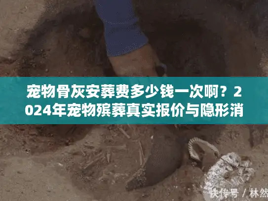 宠物骨灰安葬费多少钱一次啊？2024年宠物殡葬真实报价与隐形消费解析