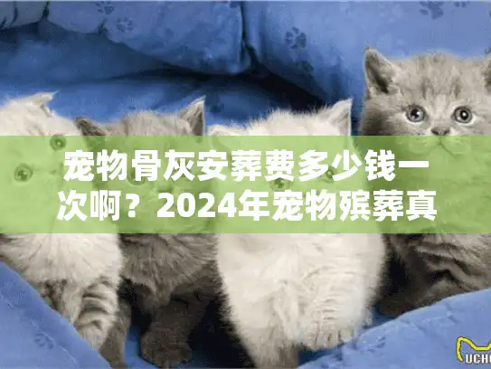 宠物骨灰安葬费多少钱一次啊？2024年宠物殡葬真实报价与隐形消费解析