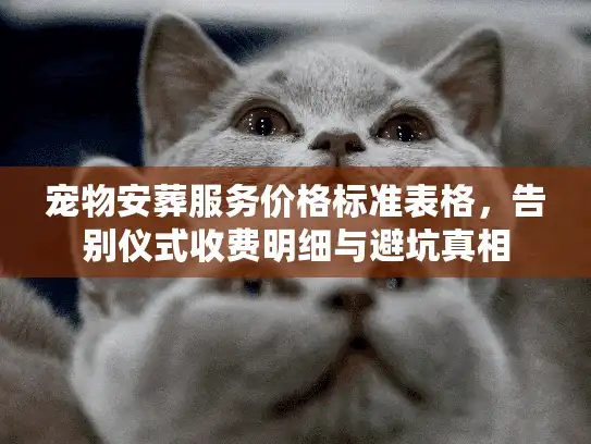 宠物安葬服务价格标准表格，告别仪式收费明细与避坑真相