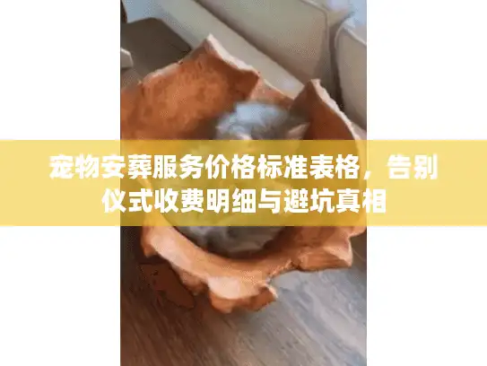 宠物安葬服务价格标准表格，告别仪式收费明细与避坑真相