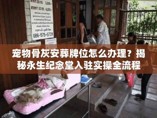 宠物骨灰安葬牌位怎么办理？揭秘永生纪念堂入驻实操全流程