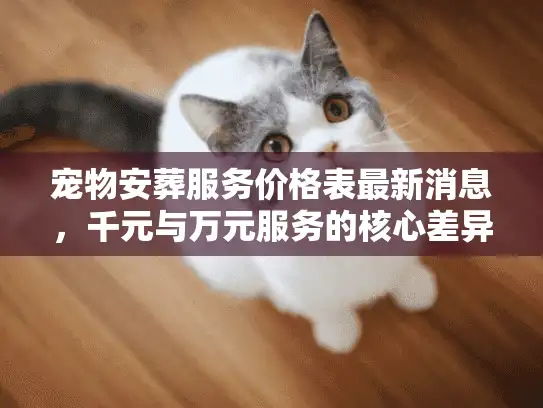 宠物安葬服务价格表最新消息，千元与万元服务的核心差异
