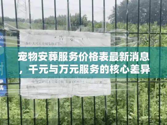 宠物安葬服务价格表最新消息，千元与万元服务的核心差异