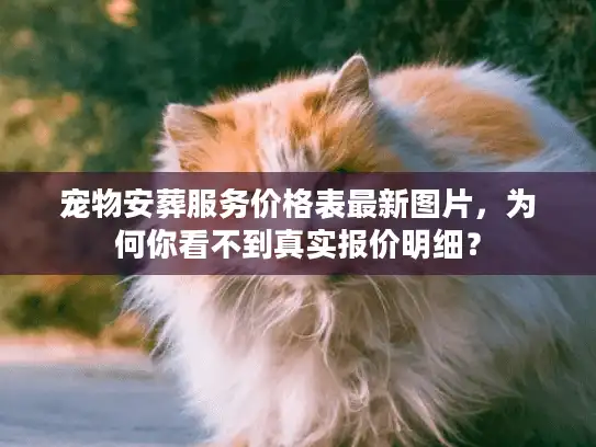 宠物安葬服务价格表最新图片，为何你看不到真实报价明细？