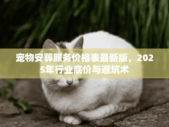 宠物安葬服务价格表最新版，2025年行业底价与避坑术
