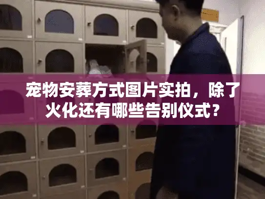 宠物安葬方式图片实拍，除了火化还有哪些告别仪式？