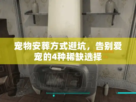 宠物安葬方式避坑，告别爱宠的4种稀缺选择