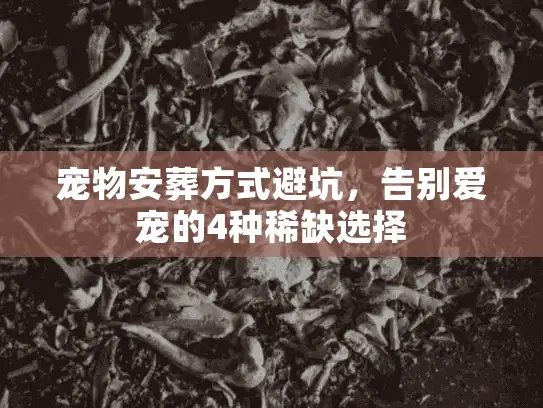 宠物安葬方式避坑，告别爱宠的4种稀缺选择
