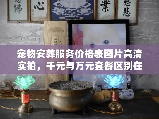 宠物安葬服务价格表图片高清实拍，千元与万元套餐区别在哪？